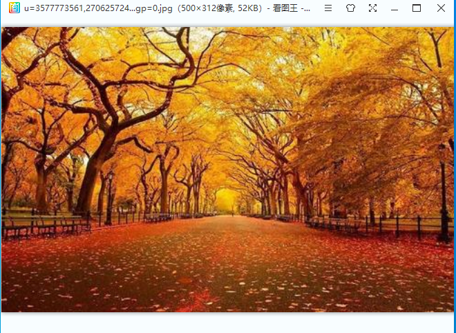 2345看图王下载页展示图